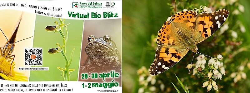 Scopri la natura nel Parco del Beigua con Virtual Bio Blitz