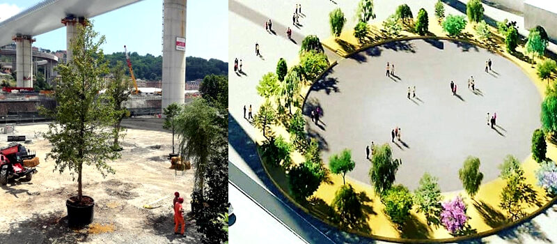 Ponte di Genova, la “Radura della Memoria” sta prendendo forma