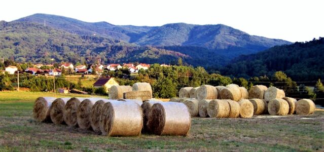 Spostamenti verso l’entroterra? Sassello +1.44, Pontinvrea +2.44, Riviera in forte calo