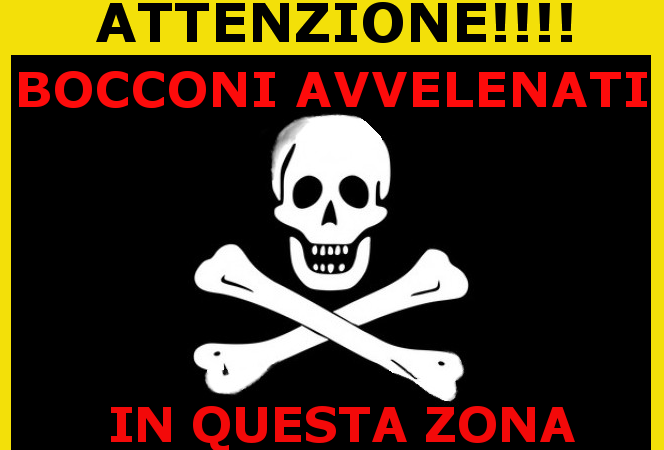 Savona, cibo avvelenato in corso Ricci, appello della Protezione Animali