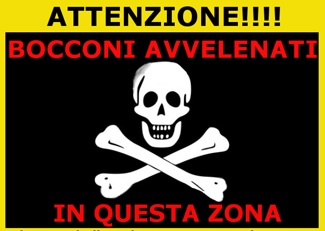 Savona, cibo avvelenato in corso Ricci, appello della Protezione Animali