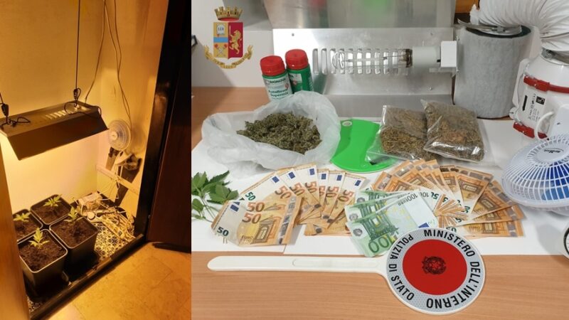 Genova cronaca breve. Dal pusher uscito di galera in estate e vi rientra ora a chi coltiva cannabis nell’armadio, chiuso un kebab