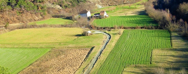 La denuncia di Confagricoltura “Nel 2019 persa una superficie agraria pari a 18 campi da calcio”