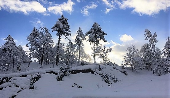 Sassello, due casi positivi al Covid-19 tra neve e gelo