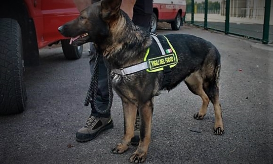 Ritrovato il biker savonese perso a Giovo Ligure