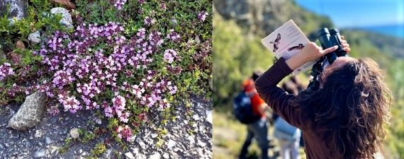 Fine settimana nel Beigua tra rapaci ed erbe selvatiche