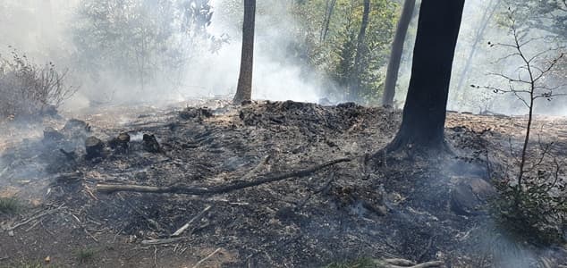 Incendio a Sassello nel bosco sopra la segheria prima di Giovo