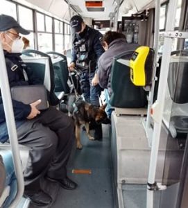 Controlli sui bus Tpl Linea Savona