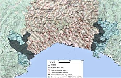 Domani incontro in Regione per fare il punto dopo il cinghiale di Staglieno