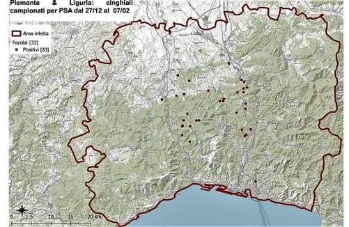 Peste suina arrivano ispettori EU, verso la riduzione della zona rossa?