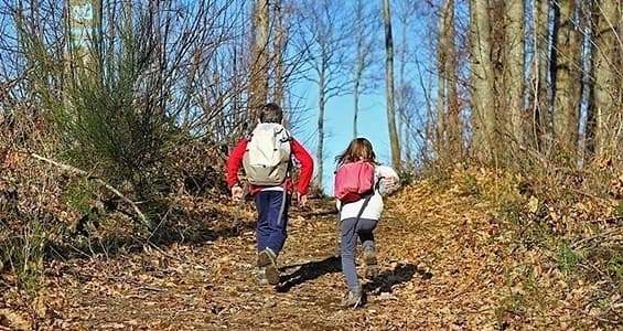 Petizione peste suina “STOP Fermiamo il lockdown dei boschi liguri”