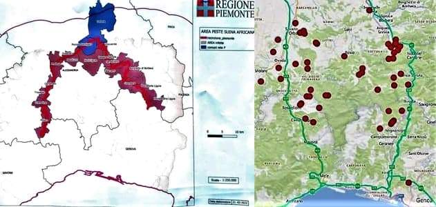 Peste suina prime piantine di recinzione, operativo il Comitato “Il Riccio”