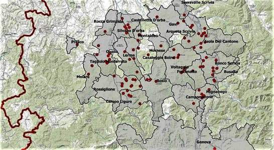 Peste suina: Piemonte anticipa 8,2 ml per recinzione e i casi salgono a 100