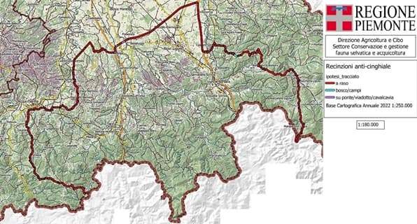 Peste suina: mercoledì 4 maggio incontro Sindaci e Regione