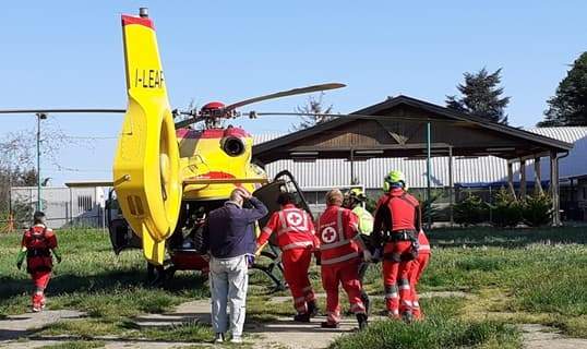 Stella contadino ferito da scheggia all’inguine, in ospedale con elisoccorso Grifo