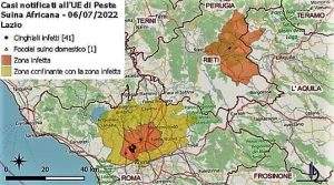 Peste suina nel Lazio 6-7-22