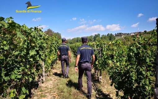 Lavoratori in nero tra i vigneti astigiani, 4 aziende nei guai