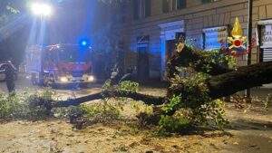 Cade 0 un albero su di una vettura in corso Magenta a Genova