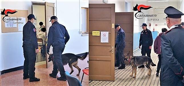 Droga sequestrata nelle scuole del ponente savonese dai carabinieri