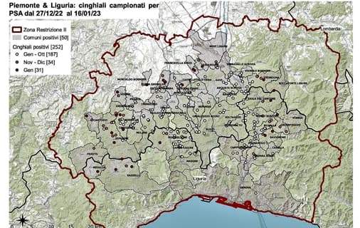 Peste suina africana, primo caso a Mioglia per 252 positività totali