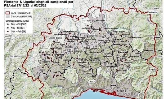 Peste suina, Sassello sale a 10 casi, 8 nuovi tra Liguria e Piemonte