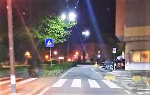 Branco di cinghiali di fronte al casello autostradale di Albisola – VIDEO