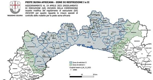 Peste suina, Regione pronta alle deroghe sulle attività all’aperto