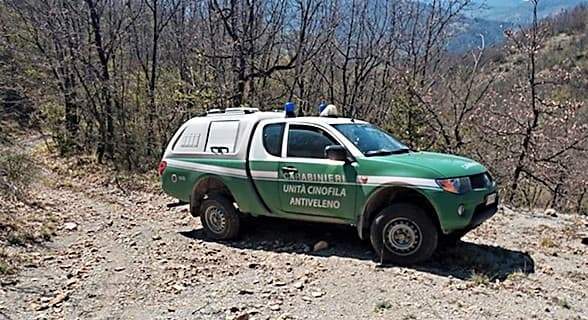 Unità Cinofile Antiveleno della Liguria intervento ad Alessandria