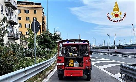 Incendio in uno scantinato a Sampierdarena, salvato un cane