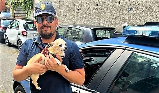 Mojto il cagnolino che ha sventato un furto in via Doria a Genova