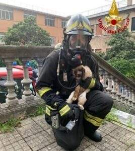 Incendio nella canonica di Santo Stefano a Genova