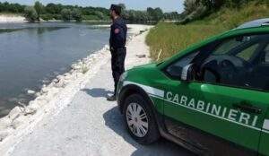 Carabinieri 0 Forestale Gruppo di Alessandria