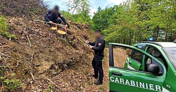 Estirpa bosco sul fiume e crea impianto pioppi per cippato, denuncia e sanzioni