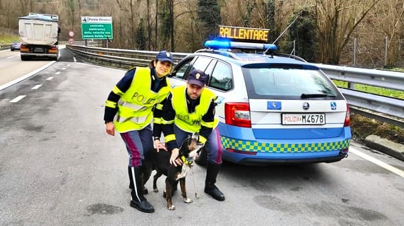 Soccorso un cane in pericolo sull’autostrada A7 dalla Polizia Stradale di Genova