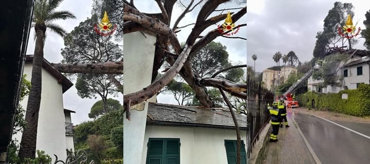 Caduta alberi in corso Perrone a Genova e nel Tigullio su una palazzina