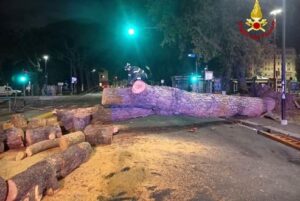 Genova caduta albero a Brignole 3