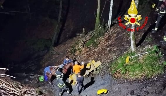 Cavallo scivolato in una scarpata soccorso dai Vigili del fuoco ad Alpicella di Torriglia
