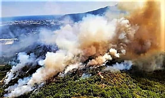 Liguria stato di grave pericolosità per incendi boschivi