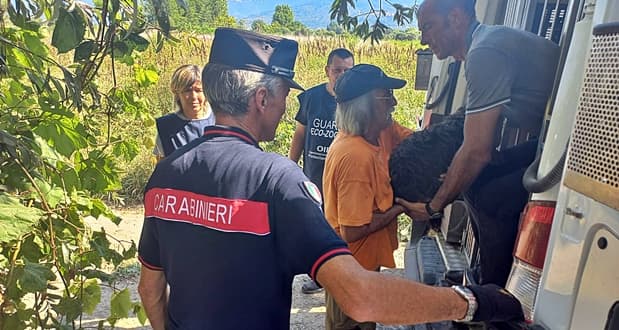 Allevamento abusivo di 51 cani, denuncia per maltrattamenti a Sarzana