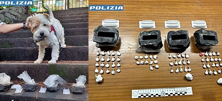 Il cane Leone trova la droga di una coppia di spacciatori, arrestati a Rapallo