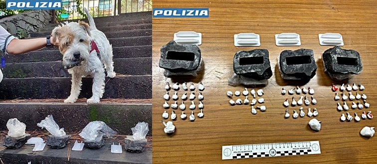 Il cane Leone trova la droga di una coppia di spacciatori, arrestati a Rapallo