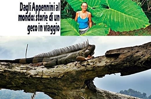 Costa Rica, tra giungla e Oceano Atlantico: a piedi nel Parco Nazionale di Cahuita