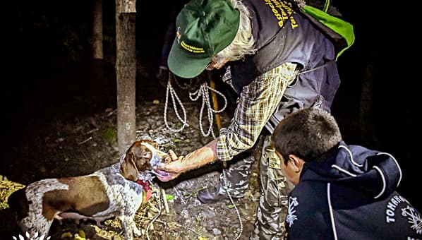 Tartufi a Millesimo: escursione del tartufaio nella notte in bianco