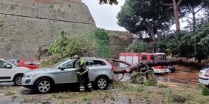 Savona caduta alberi corso Mazzini 4