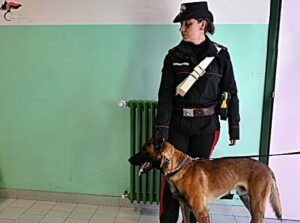 Acqui Terme controlli nelle scuole con i cani antidroga 1