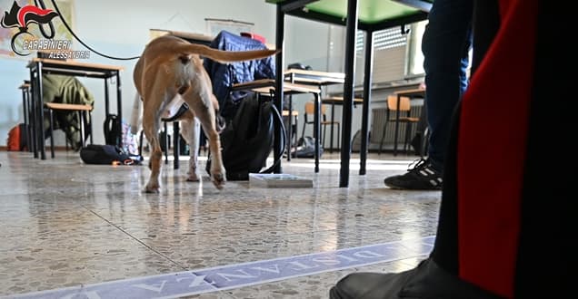 Acqui Terme controlli nelle scuole con i cani antidroga