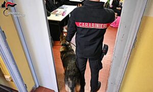 Continuano i controlli con i cani nelle scuole alessandrine (1)