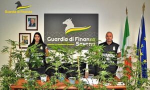 Savona coltiva marijuana nella propria abitazione 1