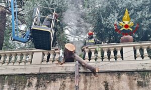 Cade un albero a Genova Nervi 15