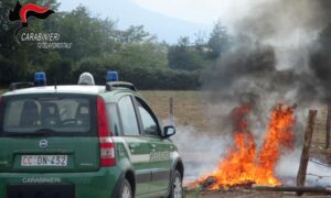 Forestale Alessandria ed Asti contrasto al ciclo dei rifiuti 2